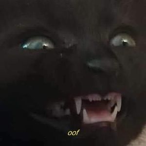 Meet your Posher, Kenna